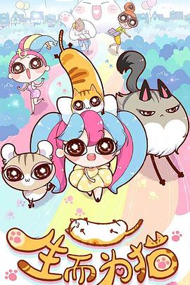 大型网站优化照片怎么弄